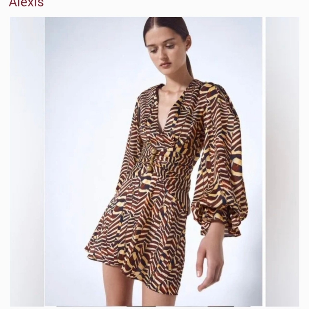 Alexis Zebra Print Dress - Brown and Yellow